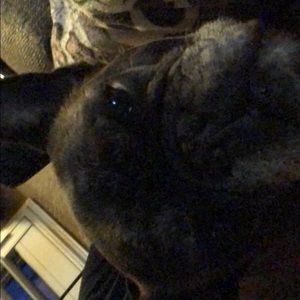 Meet your Posher, Stacy